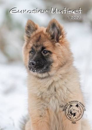 Eurasier-Uutiset