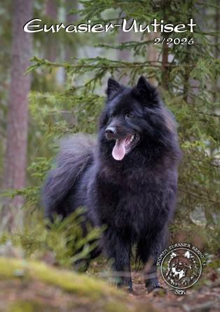 Eurasier-Uutiset