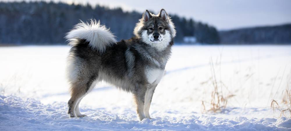 Tammikuun kuva: Essente Öchuck Ömer